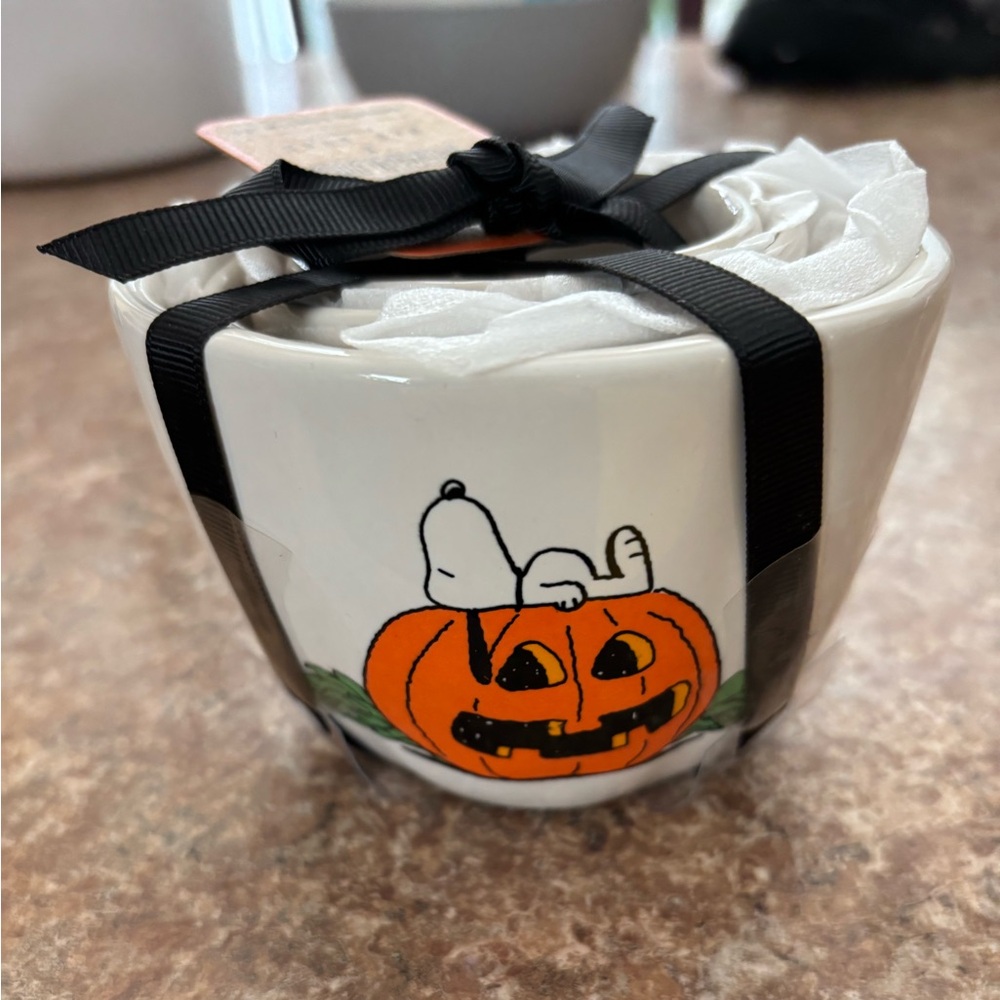Rae Dunn Snoopy Halloween MC set with Pumpkin Design